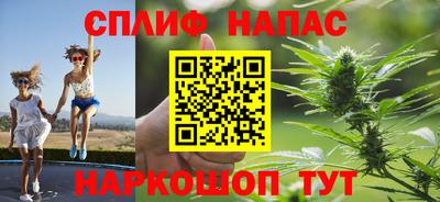 jwh Гусев