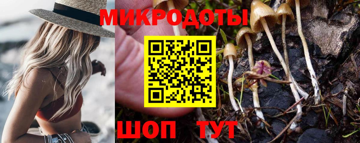 Галлюциногенные грибы Psilocybe  Вход с VPN  Норильск 