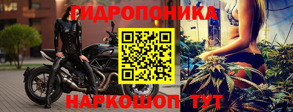 Бошки марихуана SATIVA & INDICA  Вход с VPN  МАРИХУАНА марихуана  Норильск 